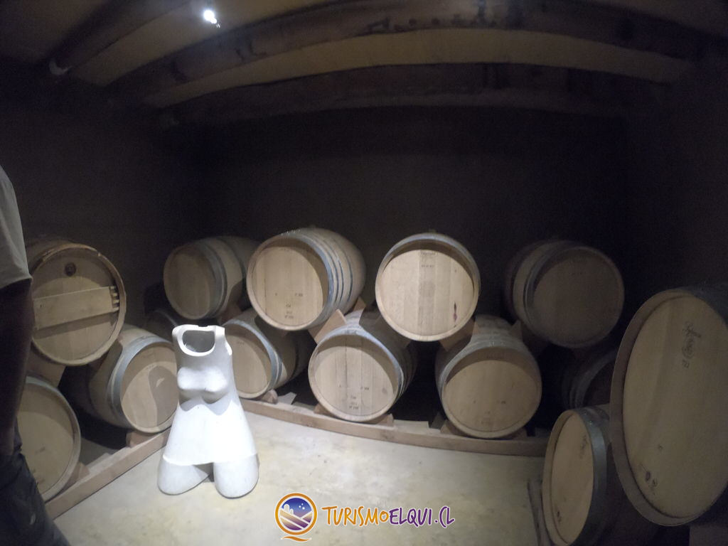 Guarda Vinos Cavas del Valle