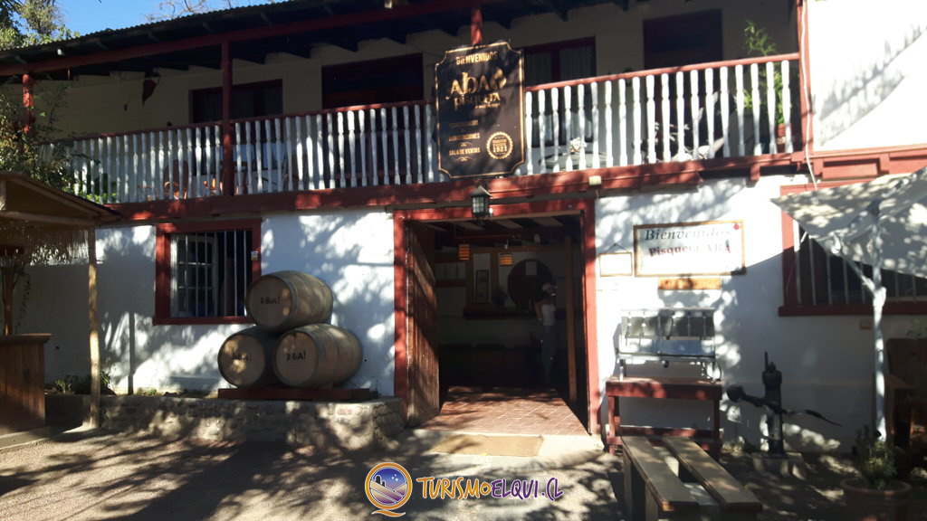 degustacion pisquera aba, valle del elqui