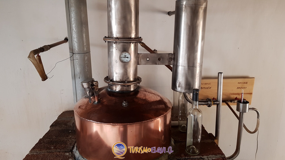 Destilacion Pisco Doña Josefa del Elqui