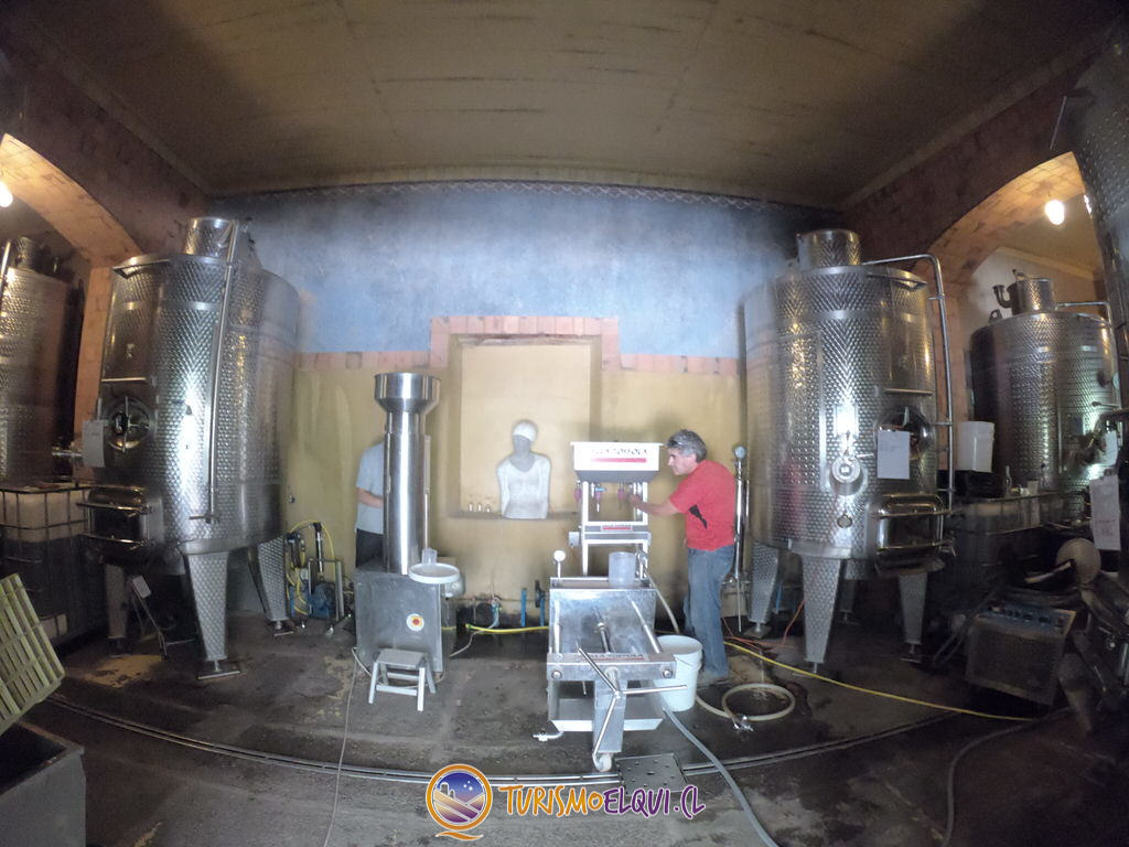 filtrado y fermentacion de vinos