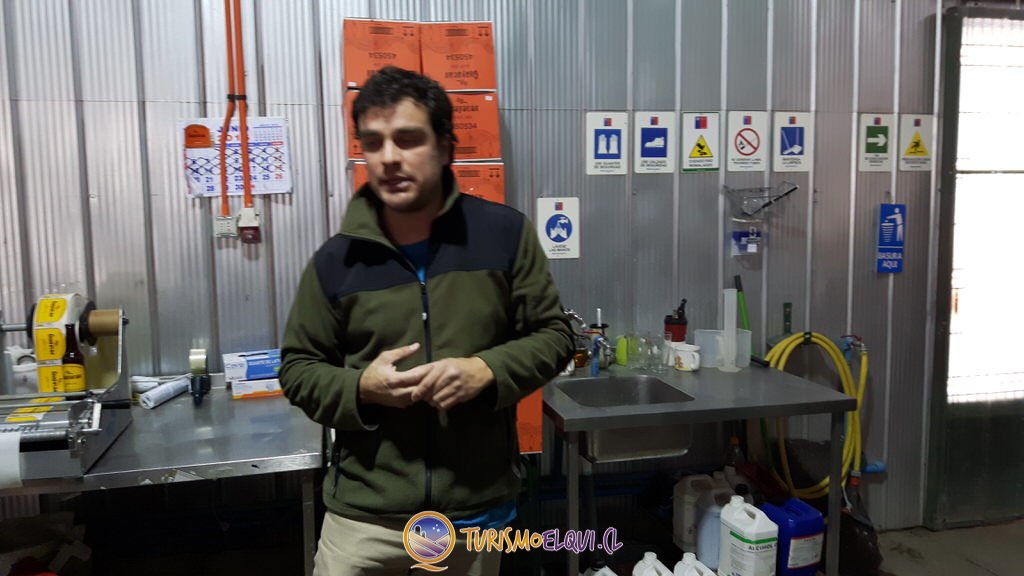 Tour por cerveceria Guayacan