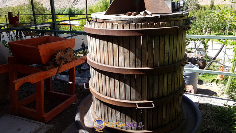 antiguedades pisquera dona josefa del elqui