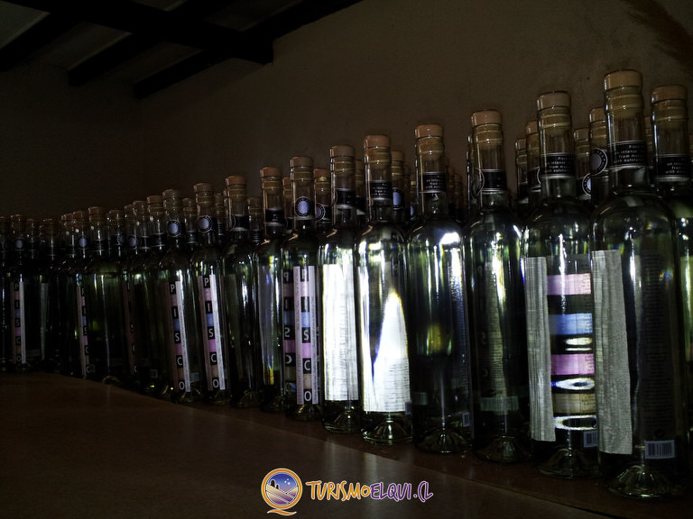 botella pisco aba elqui