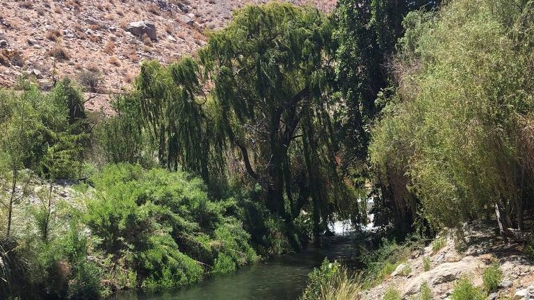 camping el retiro cochiguaz elqui 3