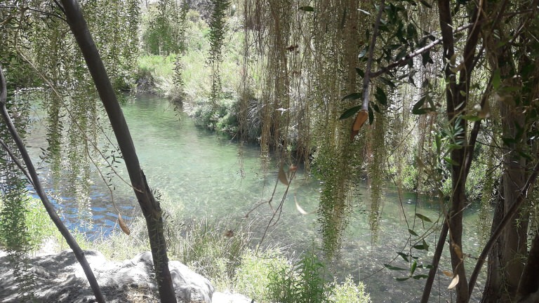 camping el retiro cochiguaz elqui 4