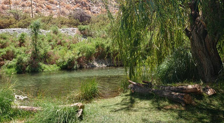 camping el retiro cochiguaz elqui 5