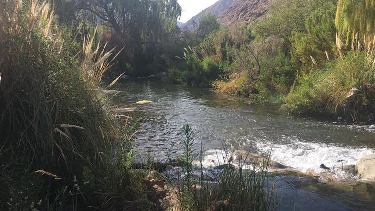 camping el retiro cochiguaz elqui 8