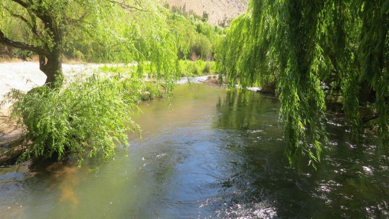camping rio magico cochiguaz valle del elqui 2