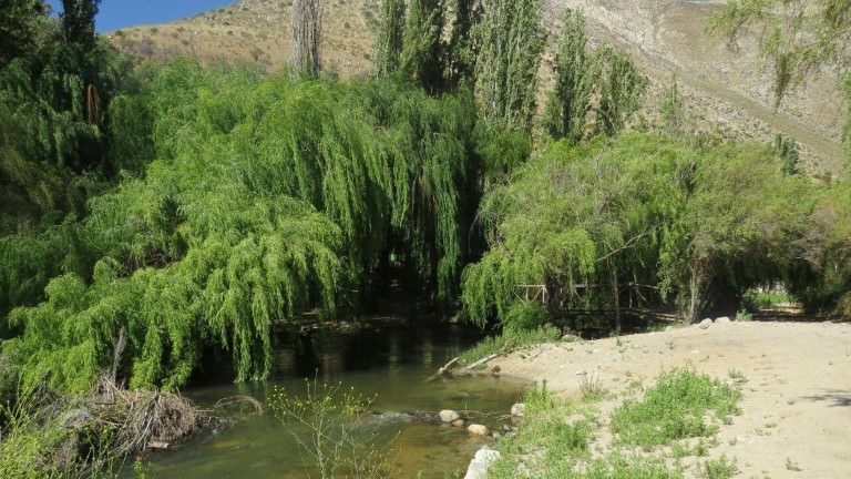 camping rio magico cochiguaz valle del elqui 3