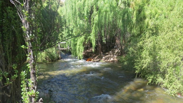 camping rio magico cochiguaz valle del elqui 4