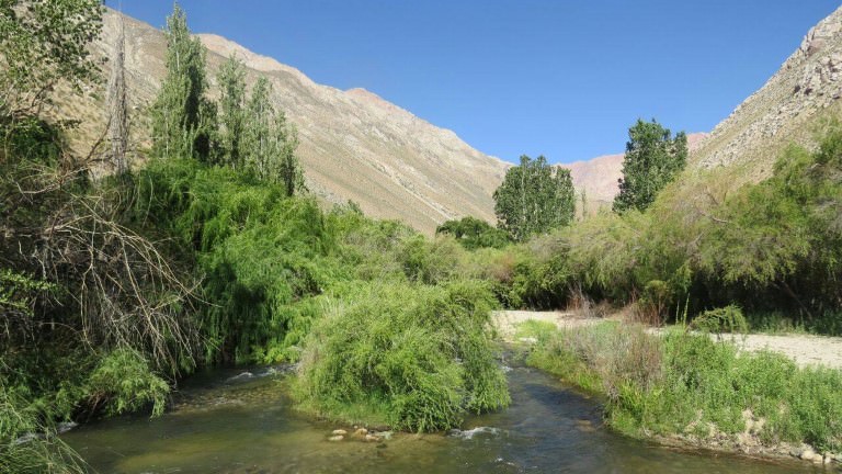 camping rio magico cochiguaz valle del elqui 5