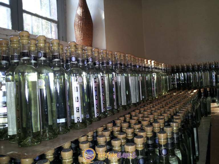 embotellado pisquera aba