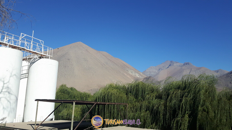 fabrica pisco aba valle del elqui