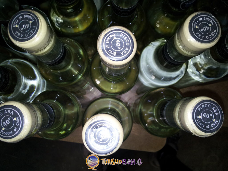 pisco aba el arenal valle del elqui