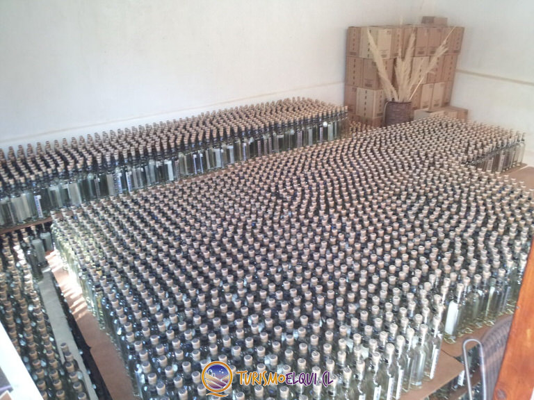 pisco aba exportacion