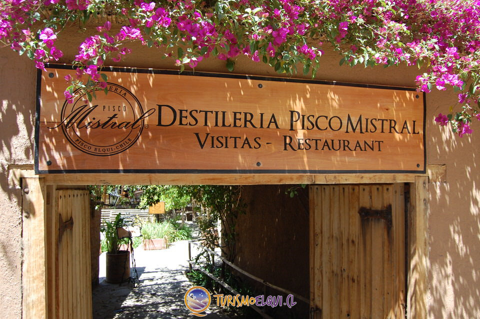 ingreso Destileria Mistral en Pisco Elqui