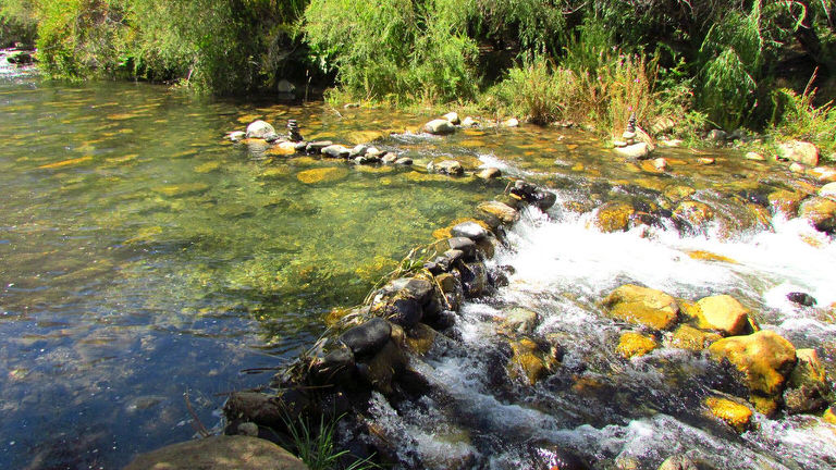 camping ganimedes cochiguaz valle del elqui 5