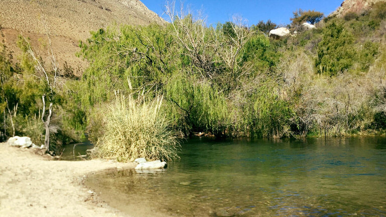 camping ganimedes cochiguaz valle del elqui 6