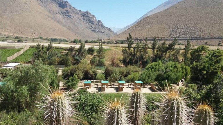 camping las tencas rivadavia valle del elqui 3
