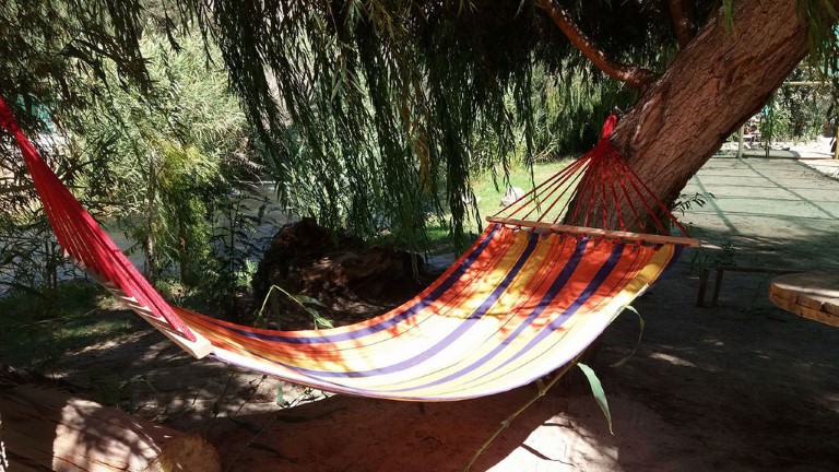 camping las tencas rivadavia valle del elqui 4