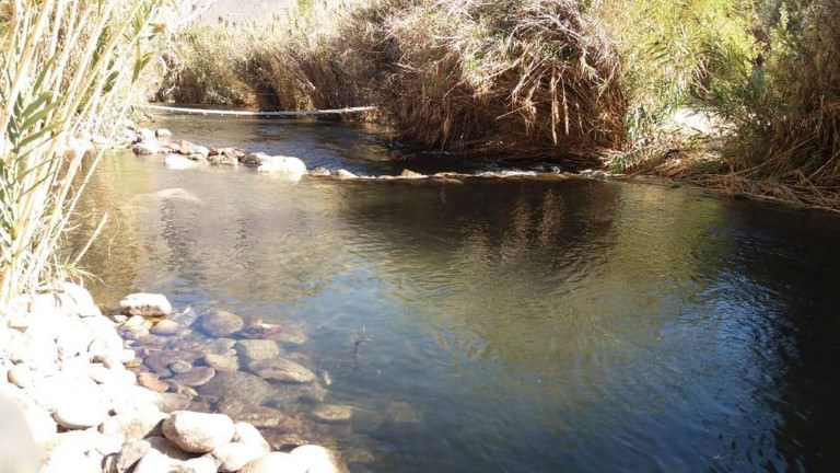 camping las tencas rivadavia valle del elqui 7