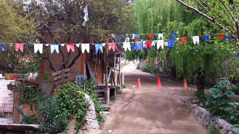 camping refugio del angel pisco elqui 3