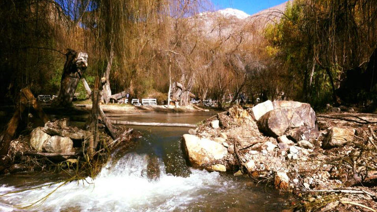 camping refugio del angel pisco elqui 5