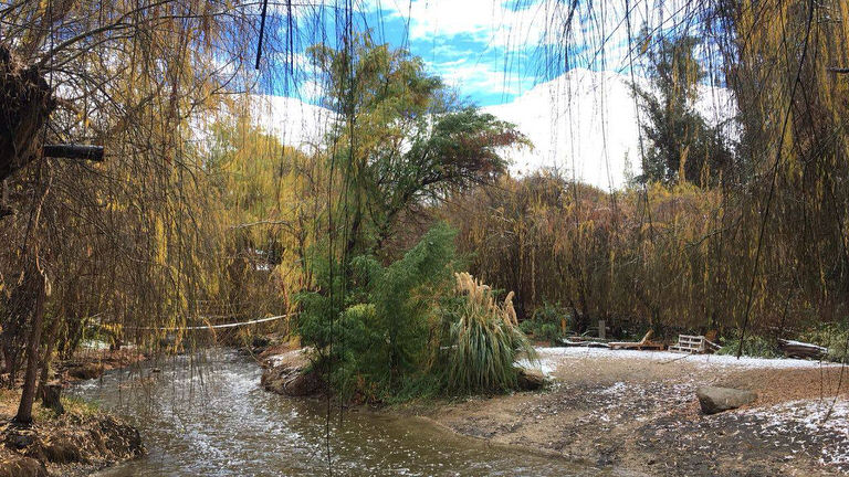 camping refugio del angel pisco elqui 9