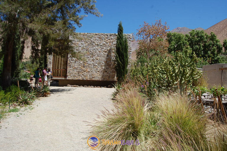 destileria pisco mistral elqui 2