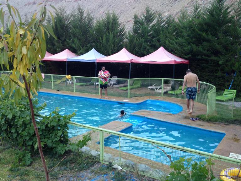 los pipiolos pisco elqui 2