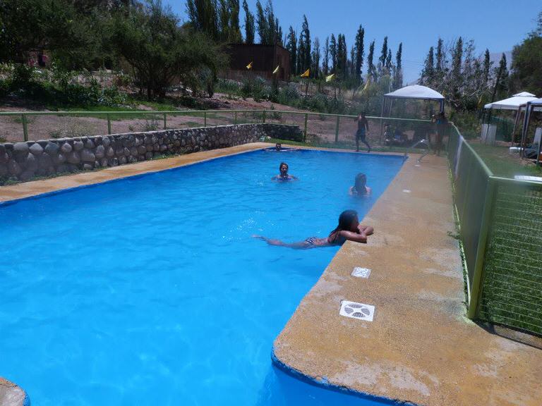 los pipiolos pisco elqui 3