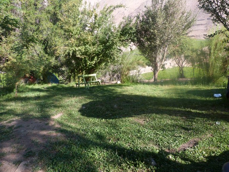 los pipiolos pisco elqui 4