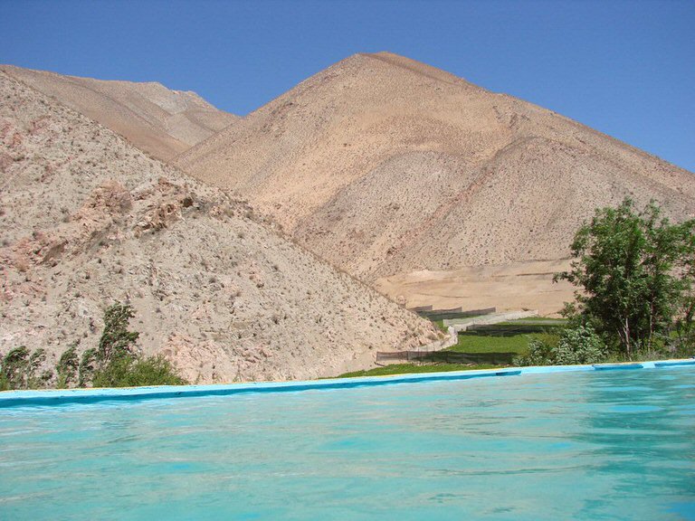 los pipiolos pisco elqui 5