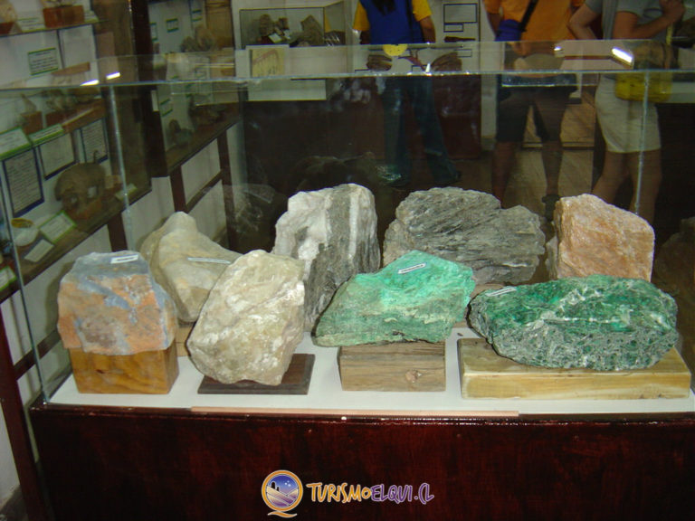 minerales museo entomologico vicuna 768x576