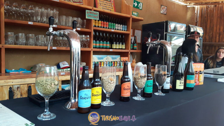 tipos cervezas guayacan valle del elqui 768x432
