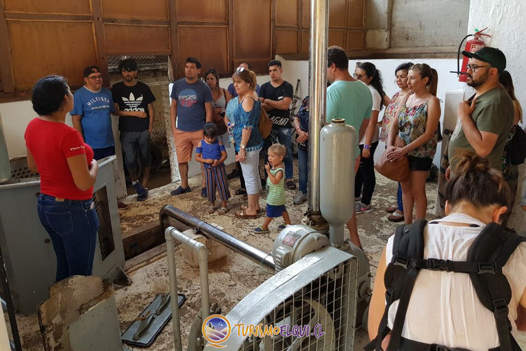 tour pisquera fundo los nichos