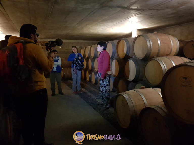 vina falernia valle del elqui 4 768x576