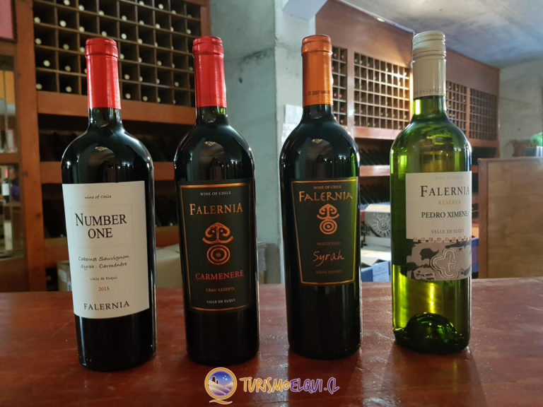 vina falernia valle del elqui 5 768x576