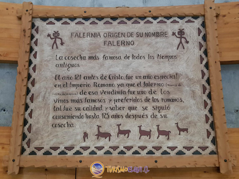 vina falernia valle del elqui 8 768x576