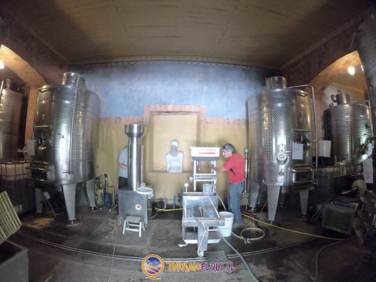 cavas del valle montegrande valle del elqui 4 768x576