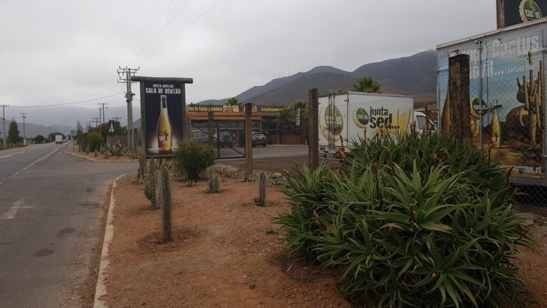 cerveceria cactus valle del elqui 2 768x432