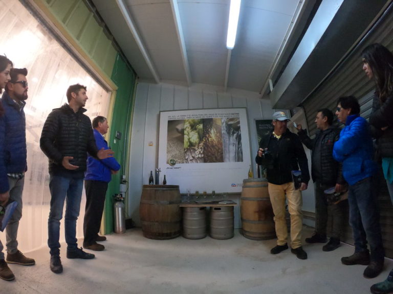 cerveceria cactus valle del elqui 3 768x576