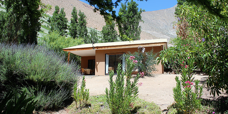 el galpon pisco elqui 2