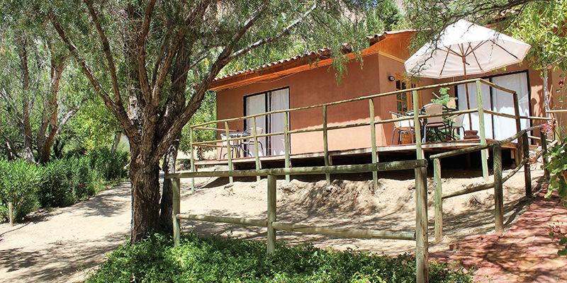 el galpon pisco elqui 4