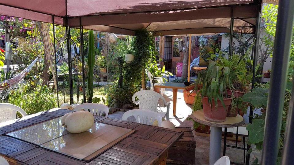 hostal las delicias vicuna valle del elqui 5