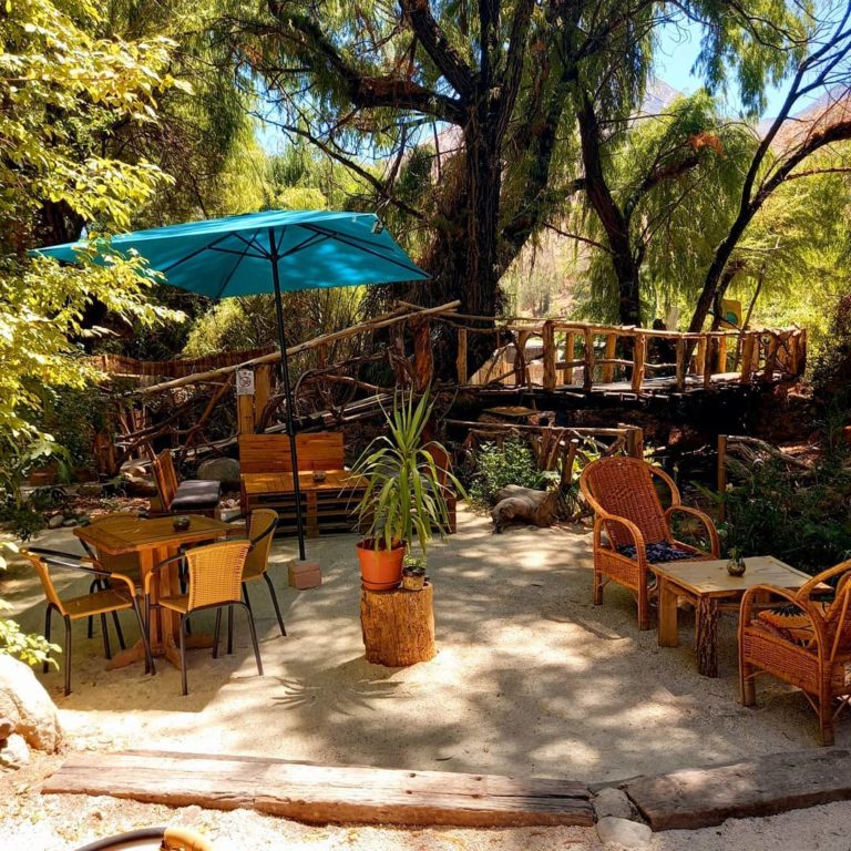 el bosque horcon restaurante 3 768x768