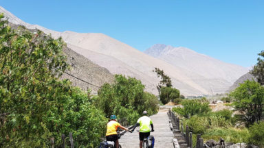 Descenso en Bicicleta Valle del Elqui